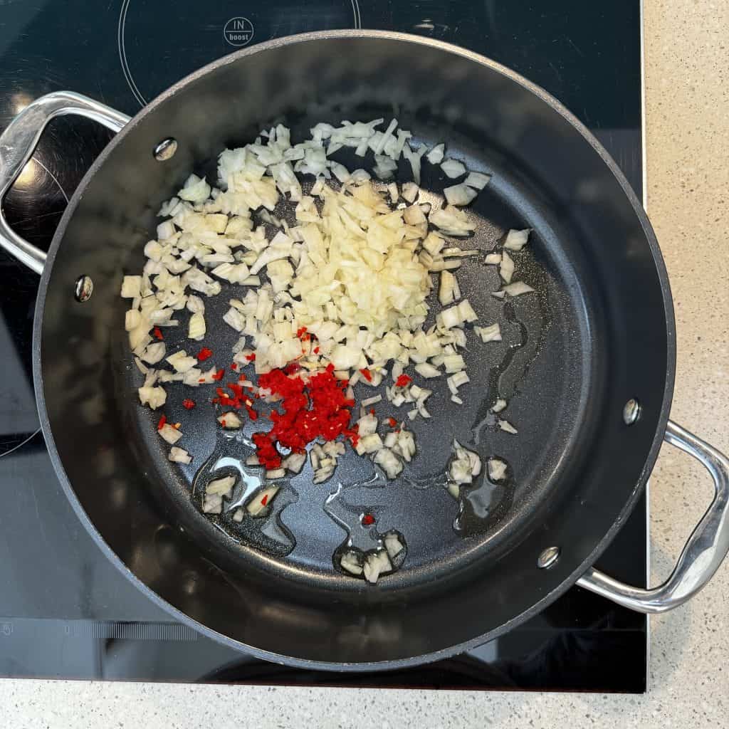 onion and chilli in oil in a pan
