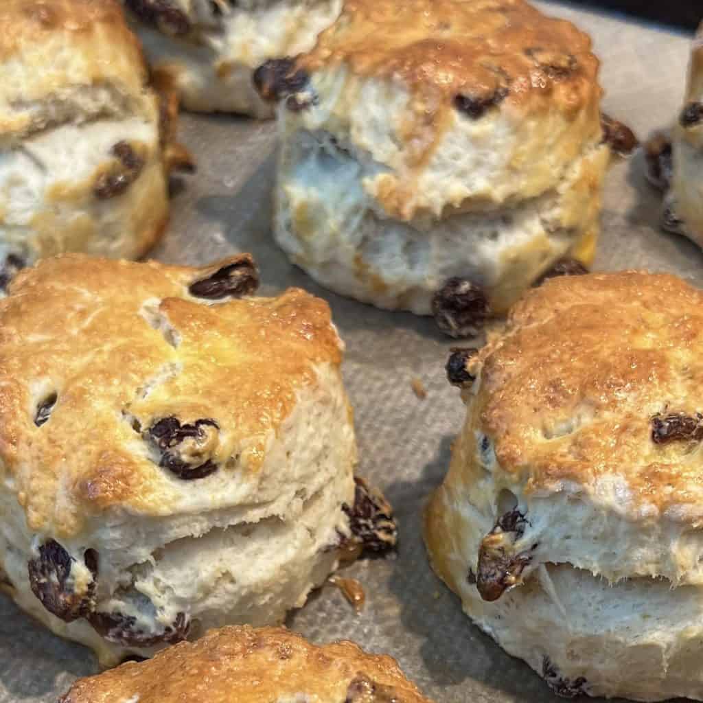 Close-up of several freshly baked scones with raisins on a baking tray. The scones are golden brown, with a slightly flaky texture.