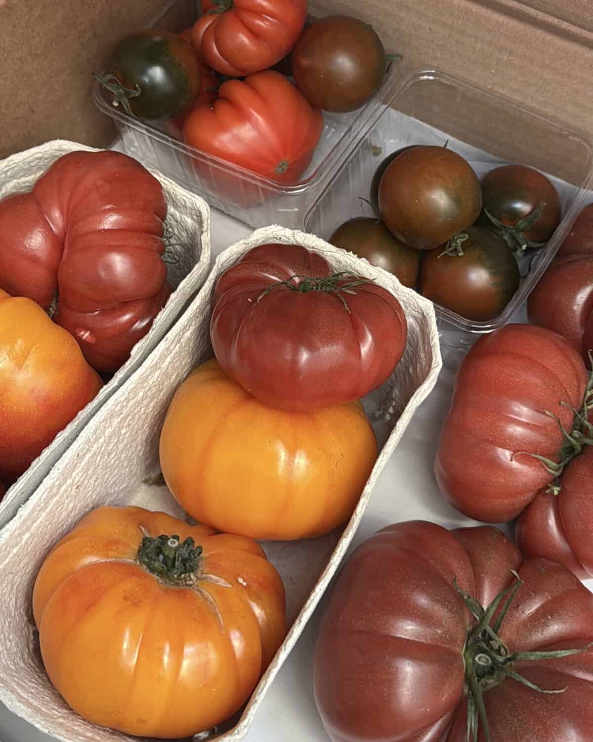 A variety of heirloom tomatoes are displayed in a cardboard box. The tomatoes are in different shades of red, orange, and dark green. They are arranged in small cardboard baskets and plastic containers.