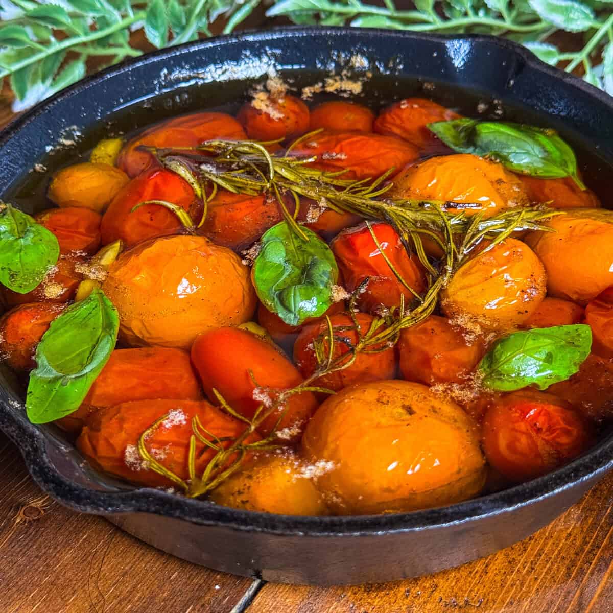 A black cast iron skillet filled with confit tomatoes, fresh basil leaves, and sprigs of rosemary in olive oil, sitting on a wooden surface with green foliage in the background.