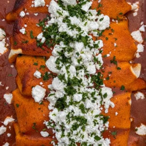 Close-up of enchiladas covered in red sauce, topped with a generous stripe of crumbled white cheese and chopped fresh parsley.