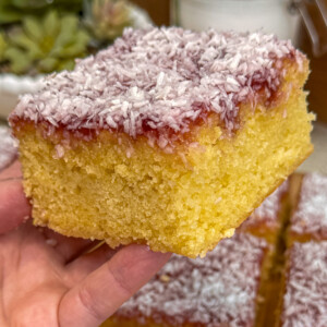 A hand holds a square piece of jam and coconut sponge topped with a layer of red jam and sprinkled with desiccated coconut. More similar cake pieces are visible in the background.