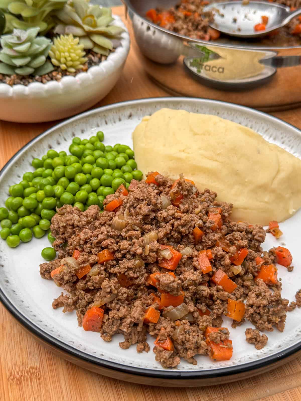 Mince and tatties: a plate with cooked minced beef mixed with diced carrots and onions, mashed potatoes, and garden peas. In the background, there’s a small potted succulent and a saucepan with more beef mixture.
